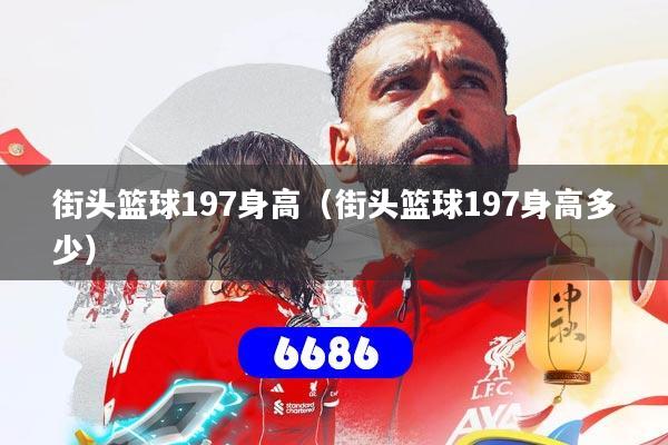 街头篮球197身高（街头篮球197身高多少）